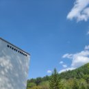 수영(A) | 평창 휘게포레스트 캠핑장 A존 애견동반 다녀온 후기