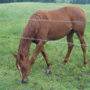 단비목장 이미지