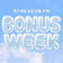 스튜디오치즈 - 제주시 남광로4길 21 | 스튜디오치즈