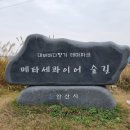 시화간척지(대형화훼단지) | 대부바다향기테마파크/ 대부도여행/ 목화솜밭구경/ 가을에 산책하기좋은곳추천