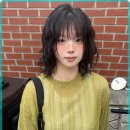 성수미용실 - 전주시 덕진구 | 성수미용실