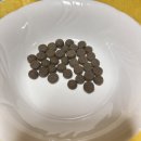 생육달 | [체험단] 겨울에도 건강하게 생육식단 '이즈칸 독 퍼포먼스 어덜트' 급여 후기