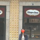포르투 3박 4일 신혼여행(강추 에어비앤비, 볼량시장, 구토치약 등)