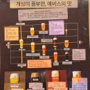 일본 삿포로여행⭐️_3일차_삿포로쇼핑 에비스바 바리스타트커피 징기스칸 오이스터바 후기
