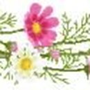 일성한우축산 이미지