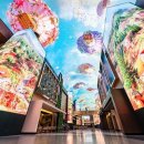 오로라마켓 이미지