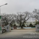 영창초등학교 이미지