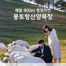 소나무목장 이미지