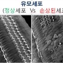 사운드소리백신