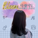 흥덕2로 65번길7L | 용인 흥덕 1인미용실 추천 블룸 내돈내산 시세이도 클리닉 후기