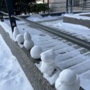 [재경관리사] 재무회계 | [자격증] 재경관리사 재무회계파트 압축 단기요약(1) ++25년 12월 합격후기 ++