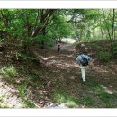 김주신선생묘 이미지