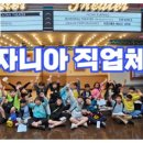 용인대정진태권도장 이미지