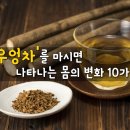 `우엉차`를 마시면 나타나는 몸의 변화 10가지 이미지