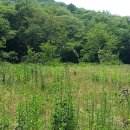 마당발부동산중개사무소 이미지