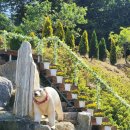 러브레이크 | 대청호 인근 대형카페 러브레이크 Love lake 내돈내산 후기