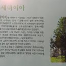 메타세쿼이아랜드 이미지