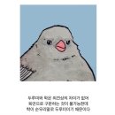 두루미와 학 구분하는 방법 이미지
