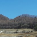 홍천목장 이미지