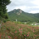 거제 산방산(山芳山) 산행기 이미지