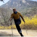 전신 걷기 운동 노르딕 워킹 이미지