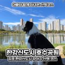 한강신도시호수공원 | 김포 대형견 강아지 산책과 피크닉 추천 한강신도시 호수공원