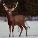 김인중한의원 이미지