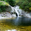 송이용소 이미지