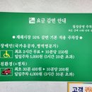 꽃다운영이