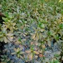 [서울] 선유도공원 &amp; 선유교, 양화한강공원 이미지