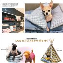 홈플러스 동수원점 수족관 이미지