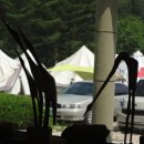 성원초교 이미지