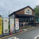 구르띠에 이미지