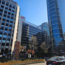 고봉삼계탕 광화문점 | 광화문 삼계탕 : 고봉삼계탕 광화문점, 내돈내산 후기