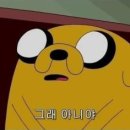 과수원의아침