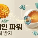 (주)고려양행 이미지