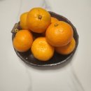 오복당구장 이미지