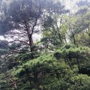 레저-요천상류1 | 포천 산정호수 힐링여행 | 호수뷰 산책후기