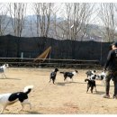 기찬흑염소 | 베니의 송추 번개후기