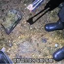 해루질