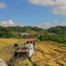 지당리 석불입상 이미지