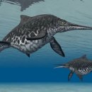 칼 모양 입 가진 어룡 화석 발견됐어요! 이미지