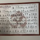 요가 | 전주 삼천동 요가원 하리움요가 후기