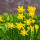 시인의 공원 이미지