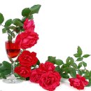 나의 스트레스는 현재 진행형 이미지