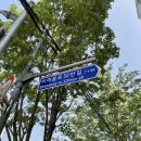 태극안경콘택트(비래점) 이미지