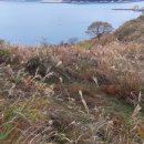 섬어부밥상 이미지