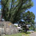 양미축산 네이버블로그