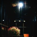 프롬(From)302 이미지