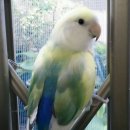 몽몽이엠파크 이미지